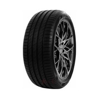 215/60  R17  Delinte DS-2 100H XL
