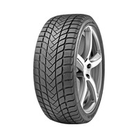 225/55  R16  Delinte Winter WD6 99V
